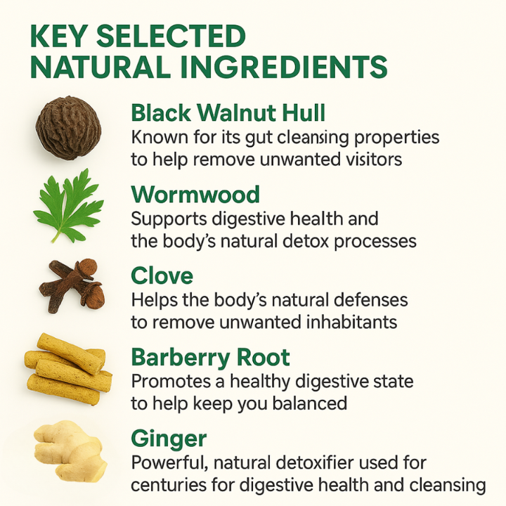 Wellvia™ Para-Cleanse